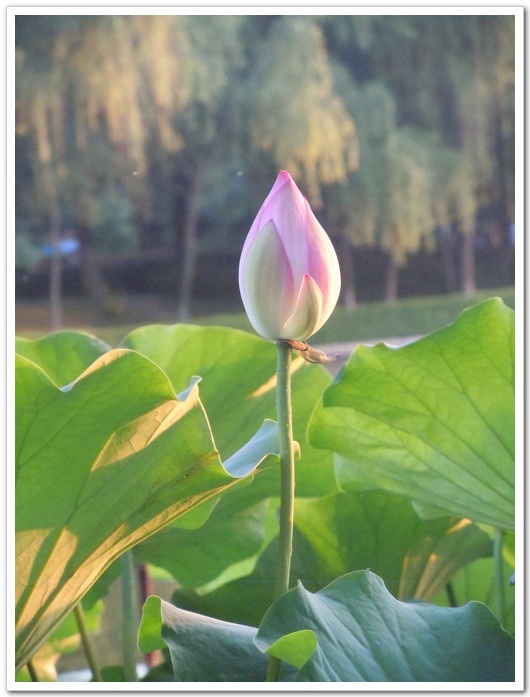 照片 078.jpg