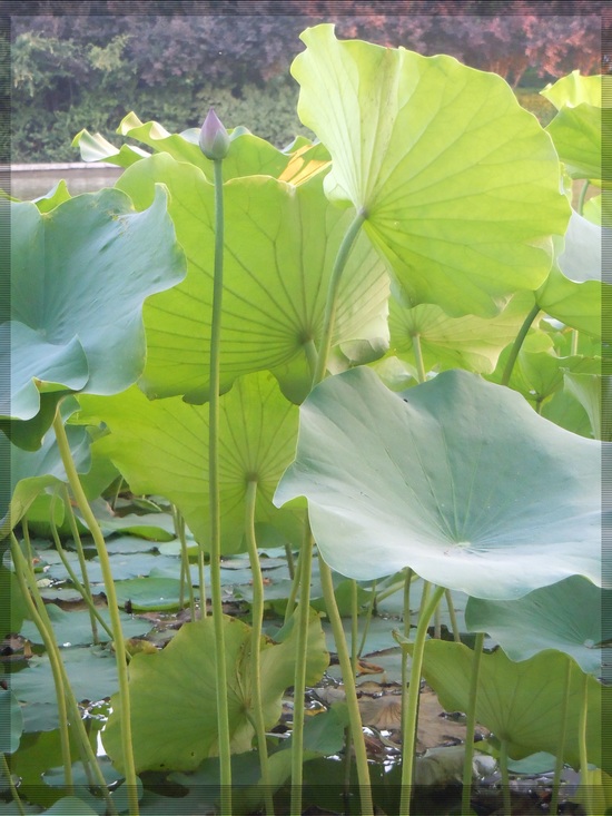 照片 083.jpg
