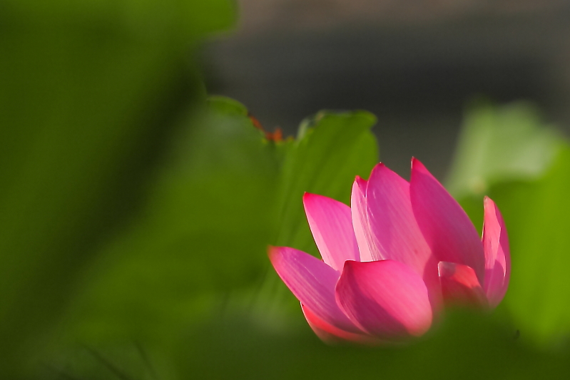 IMG_7801 拷贝01.JPG