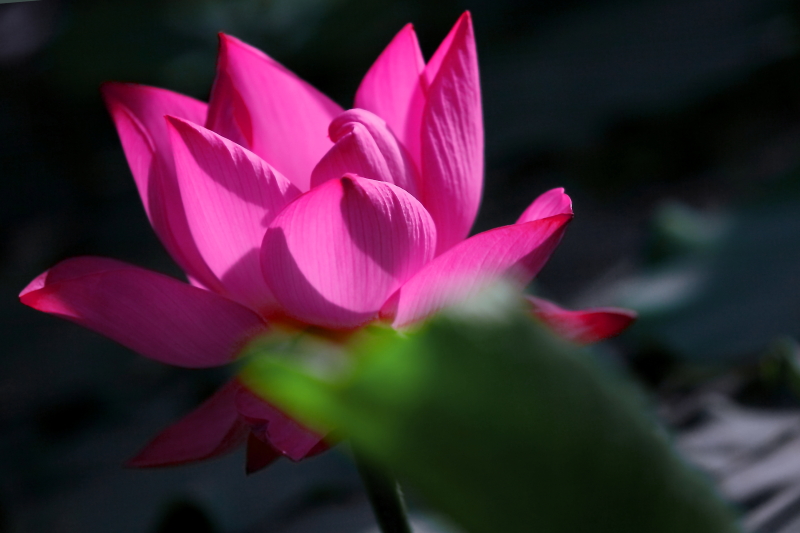 IMG_7820 拷贝01.JPG