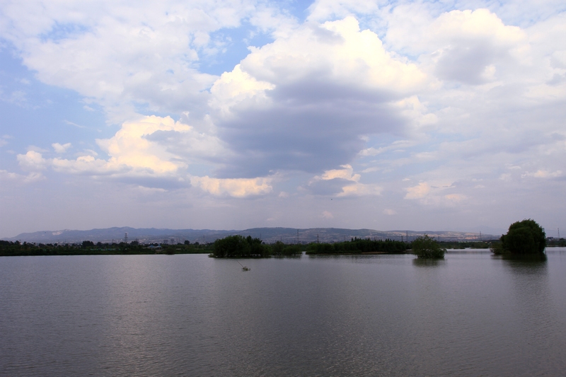 灞河湿地 012.jpg
