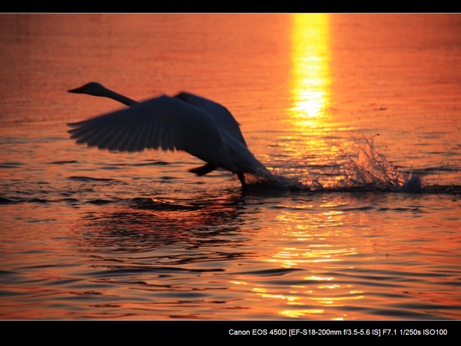 IMG_2980.JPG