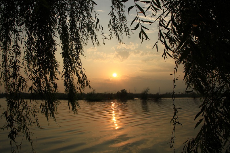 黄山旅游照片 1096.jpg