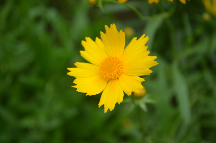 DSC_0103.JPG