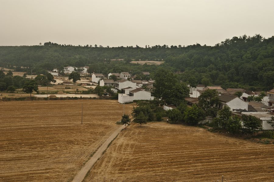 DSC_8190.jpg