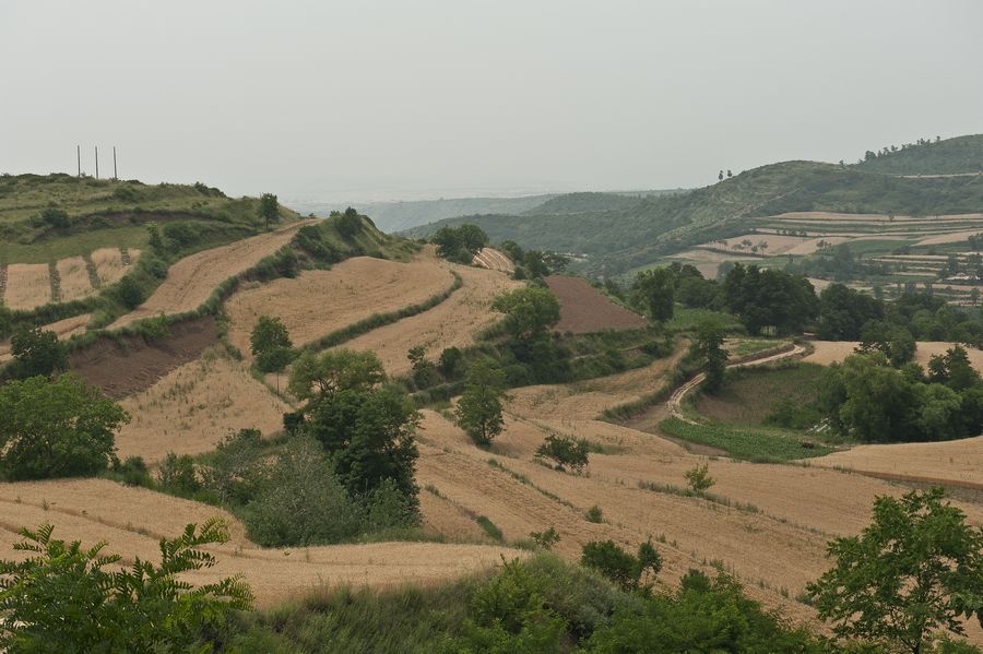 DSC_8364.jpg