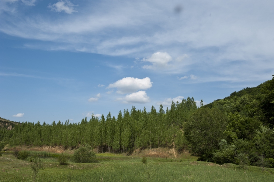 DSC_8290.JPG