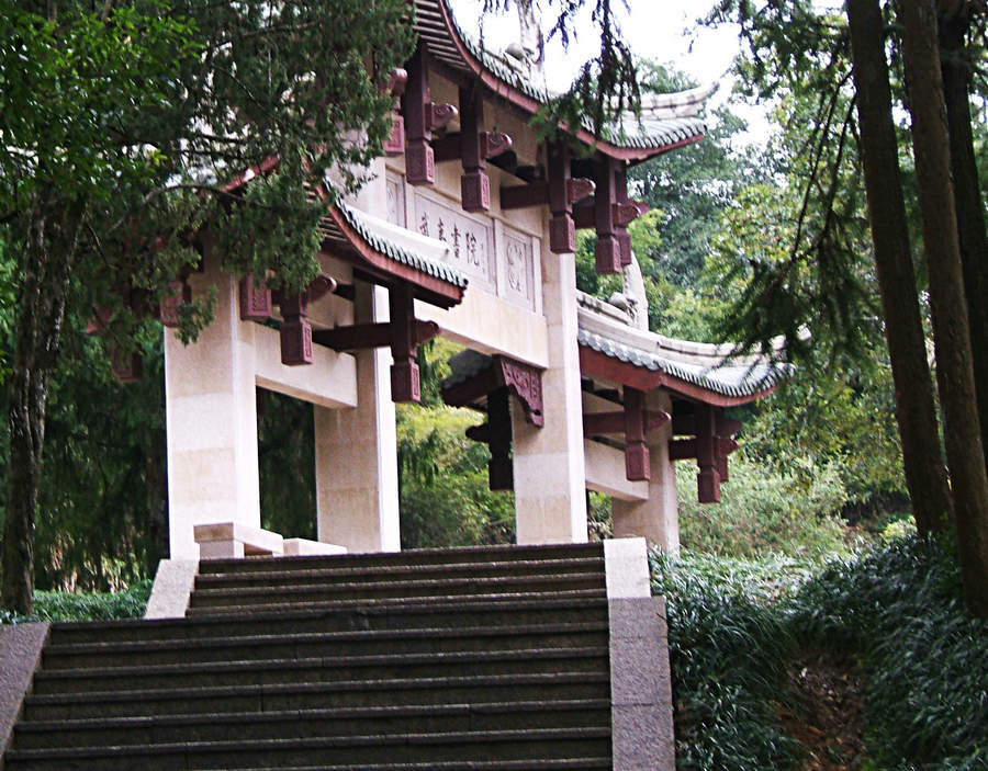 DSCF4331.jpg
