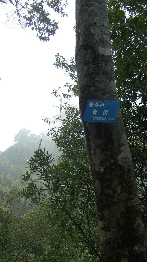 DSCF4469.jpg