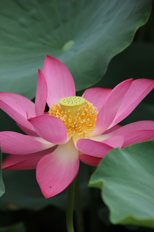 照片 040.jpg