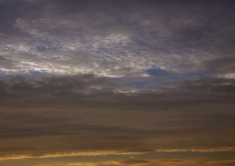 _MG_0008.jpg