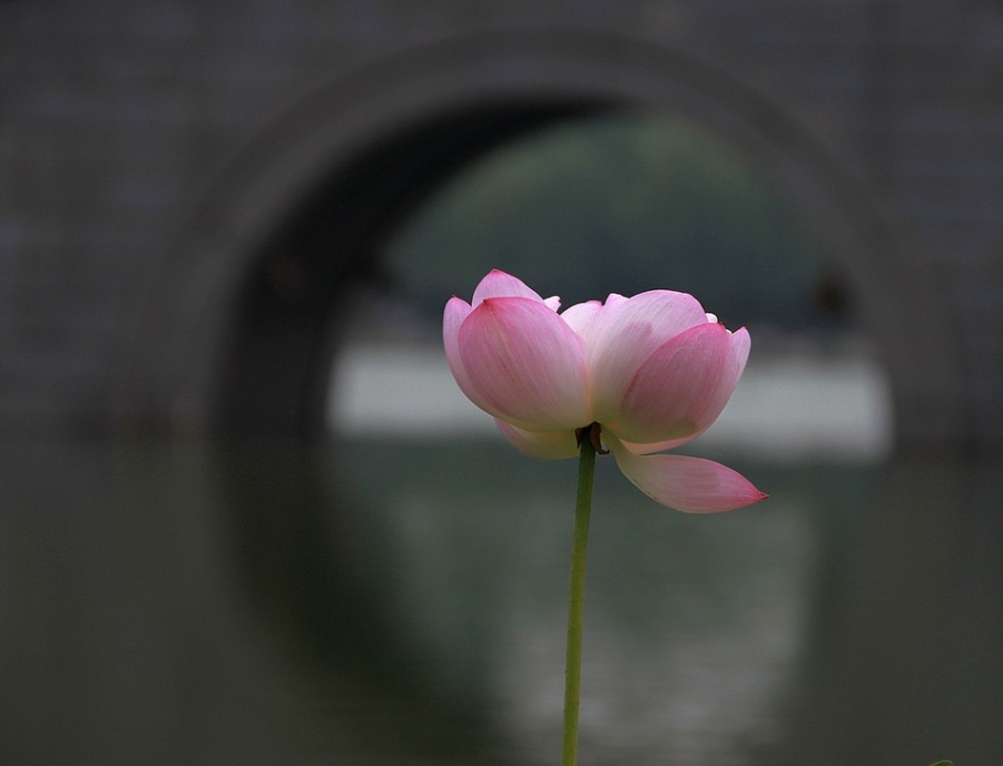南荷 039A.jpg