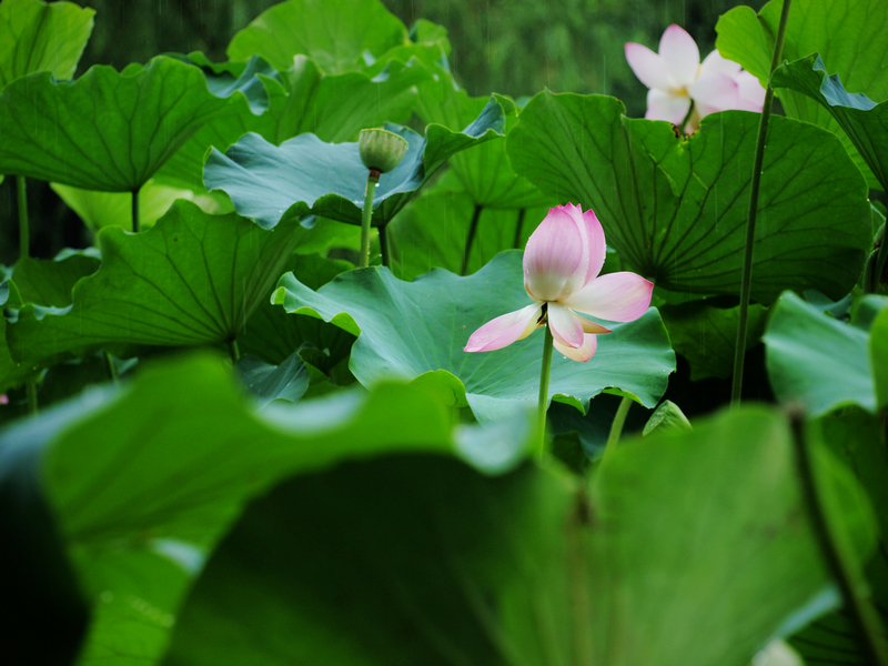 U7025778.jpg