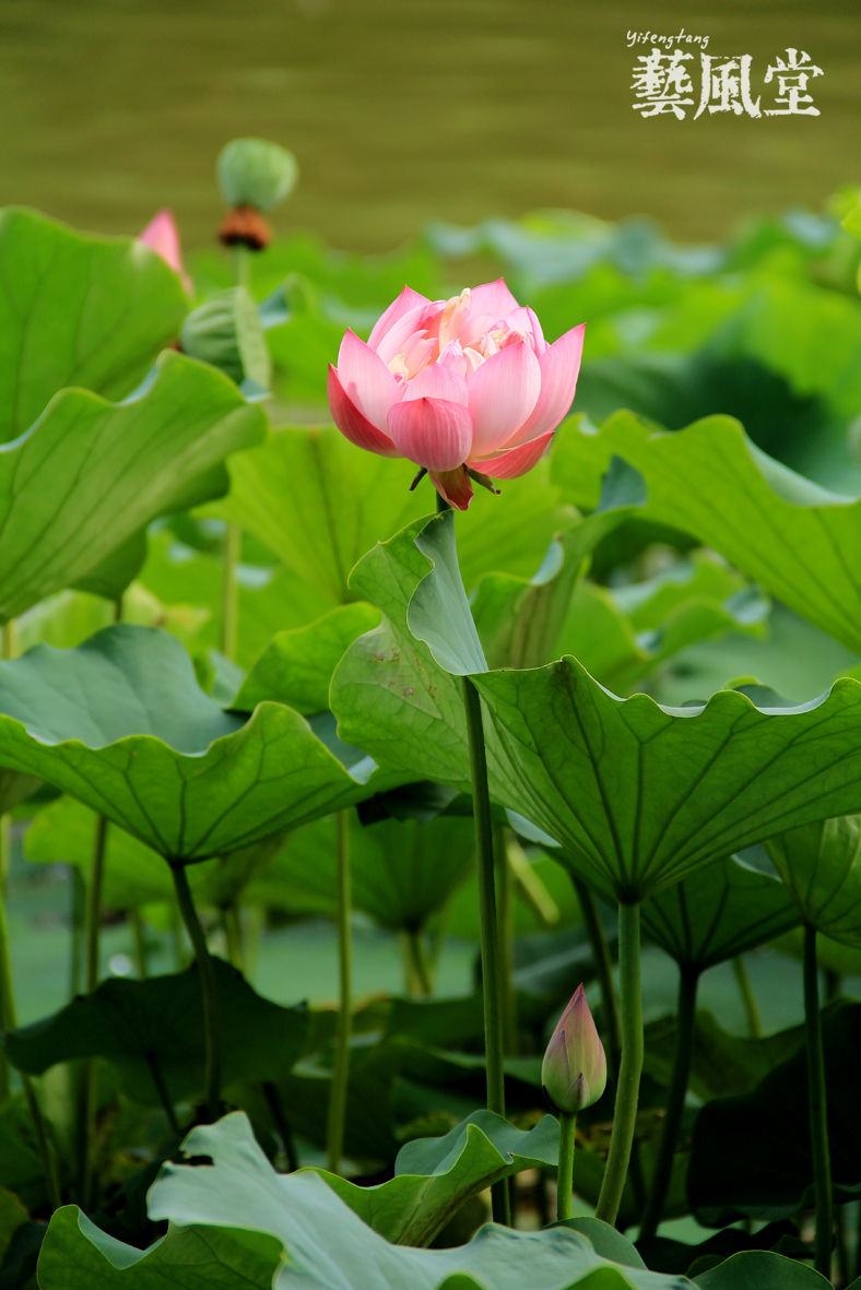 照片 062.jpg
