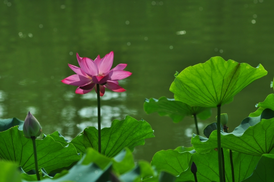 DSC_0681.JPG