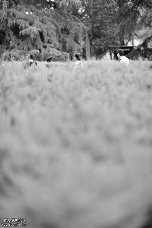 HOU_1214.jpg