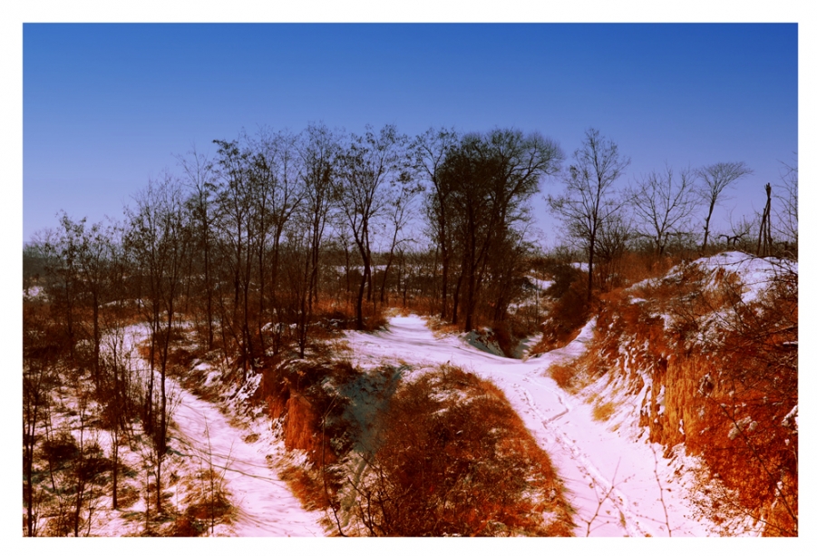 DSC_0184.jpg