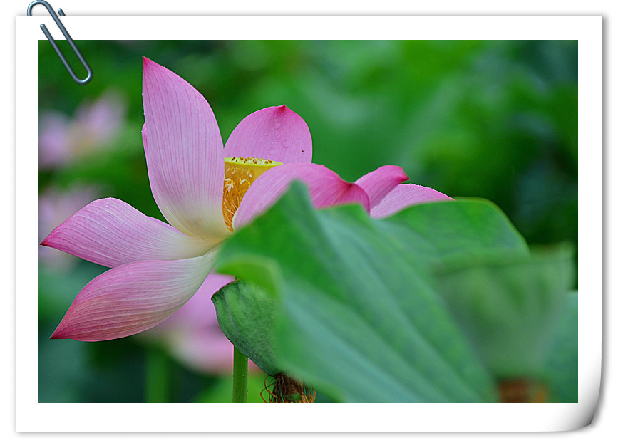 DSC_5046_副本_副本.jpg