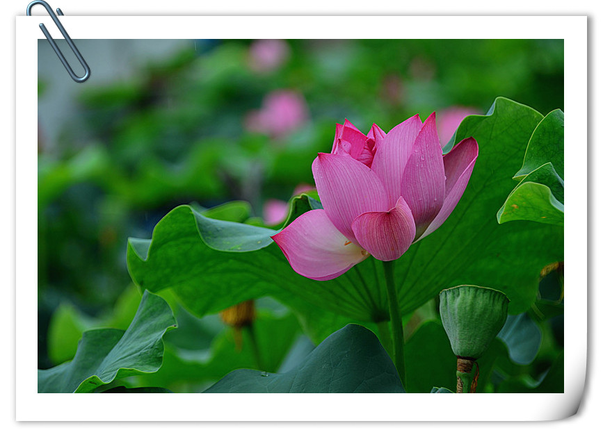 DSC_5055_副本_副本.jpg