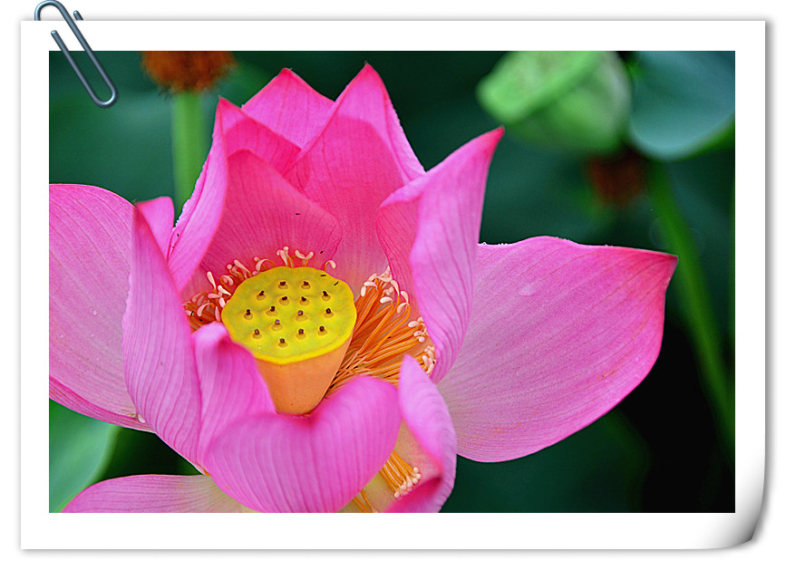 DSC_5056_副本_副本.jpg