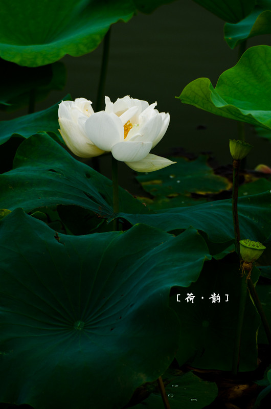 DSC_0148.jpg