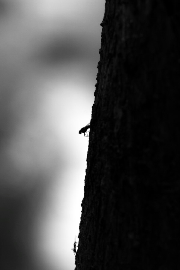 x_large_MZub_0f5600001431121b.jpg