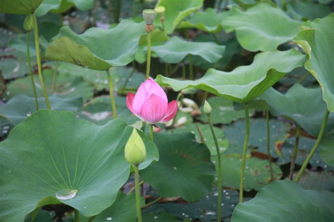 照片 006.jpg