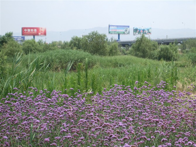 照片 025.jpg