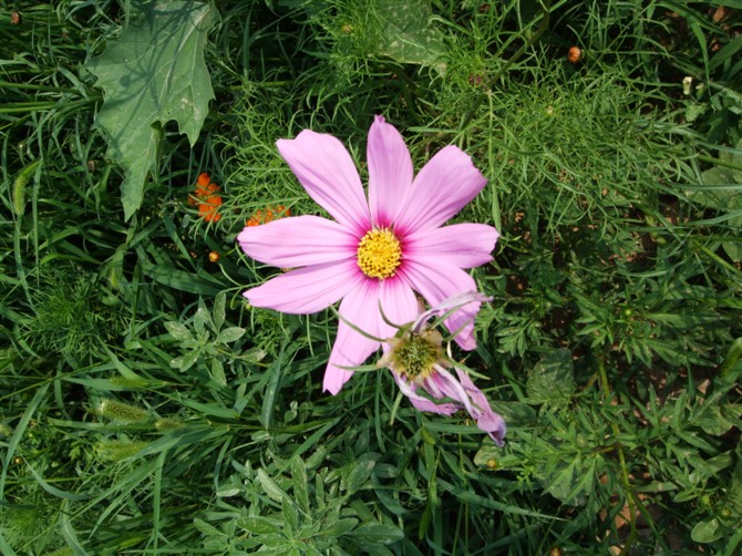 照片 072.jpg