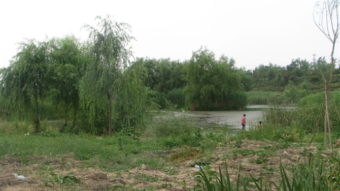 照片 091.jpg