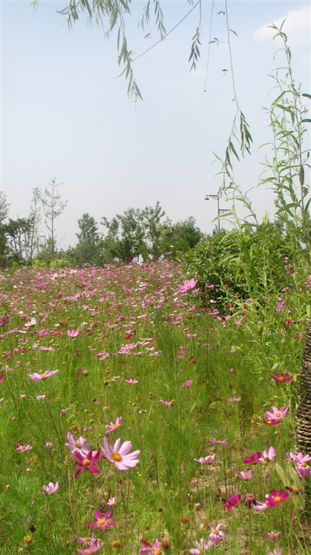 照片 107.jpg