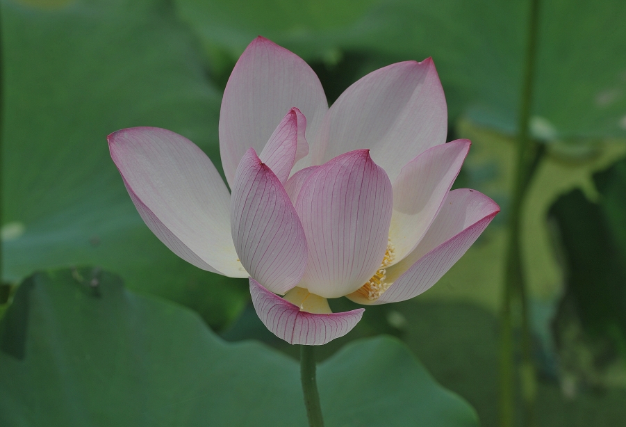 DSC_6573_副本.jpg