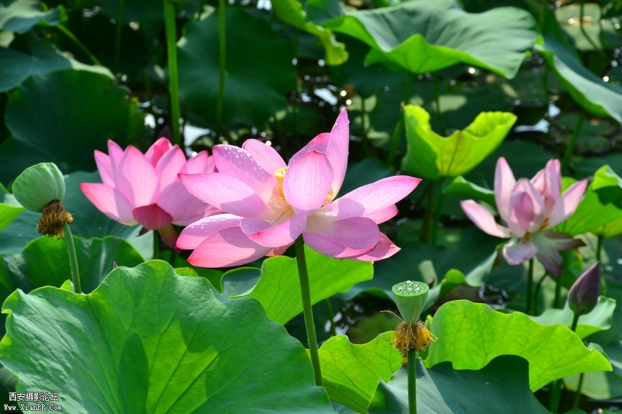 照片 126.jpg