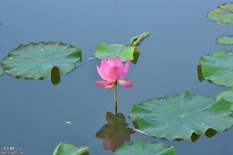 照片 100.jpg