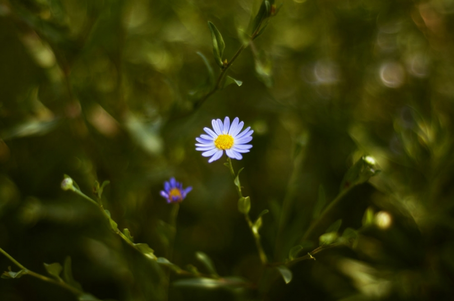 DSC_0029副本1.jpg