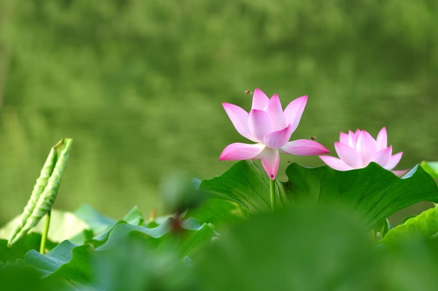 nEO_IMG_DSC_0143.jpg