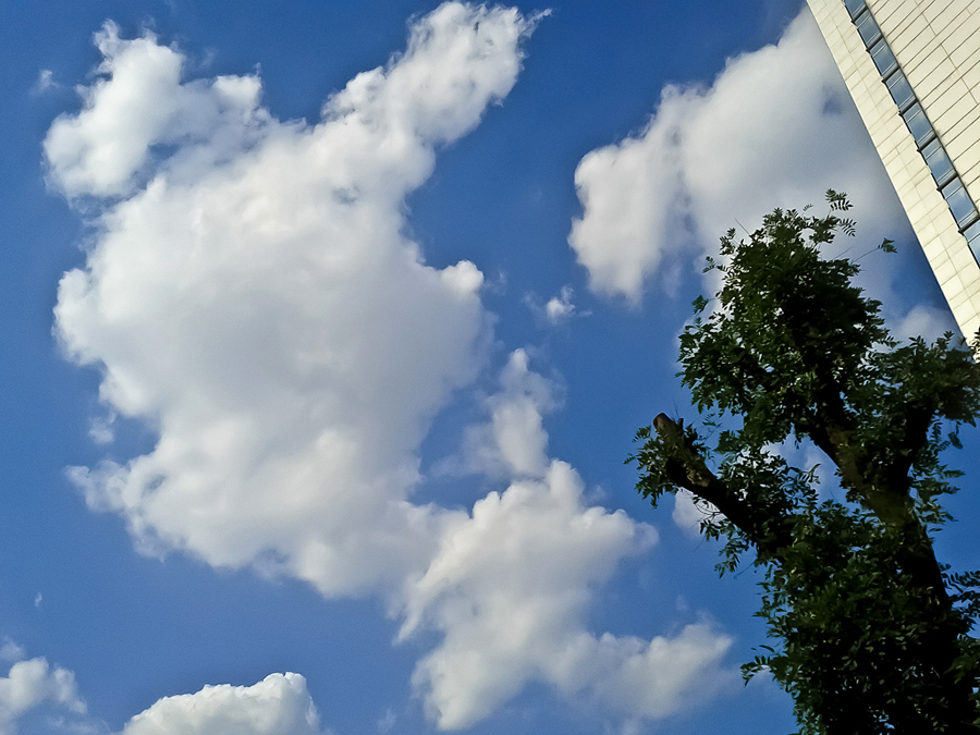 IMG_20120607_170935.jpg