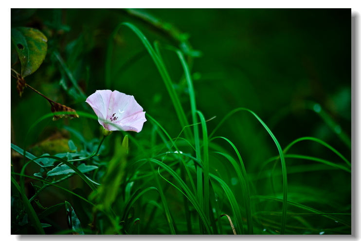 _MG_5263.jpg