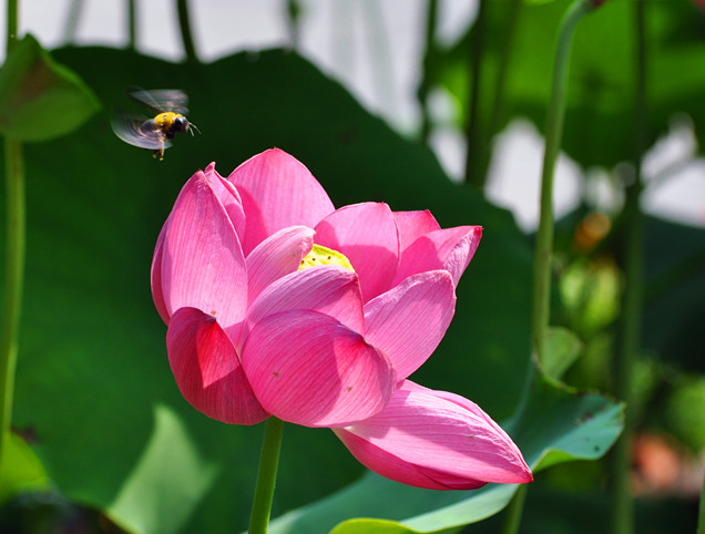 DSC_0253_副本.jpg