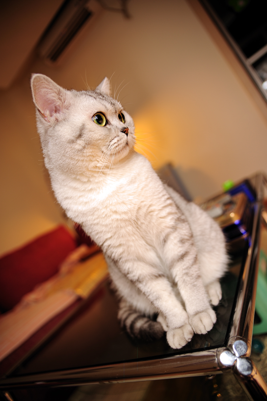 DSC_9186.jpg