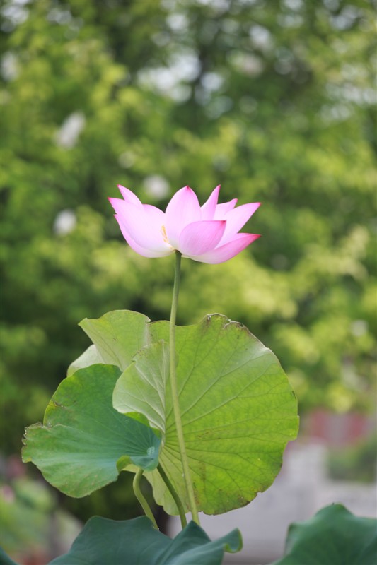 照片 054.jpg