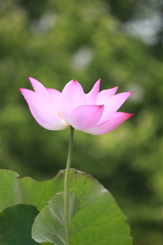 照片 060.jpg