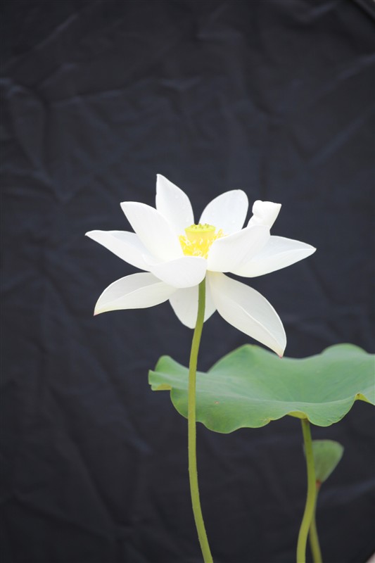 照片 066.jpg