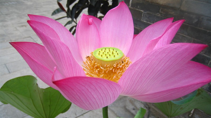 照片 085.jpg