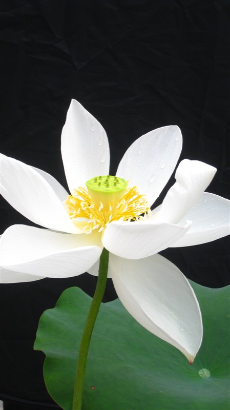 照片 089.jpg
