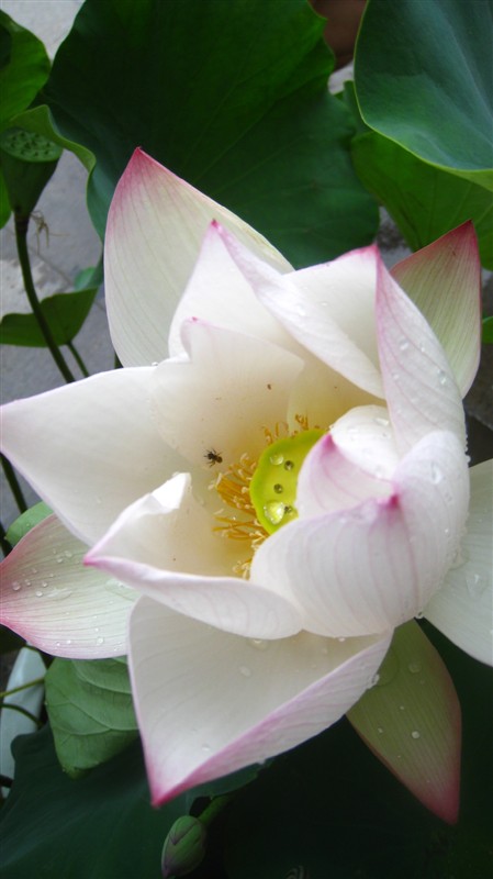 照片 102.jpg