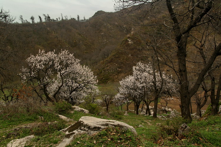 585.jpg