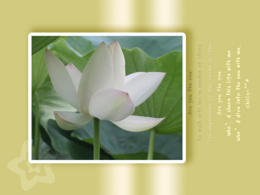 照片 047.jpg