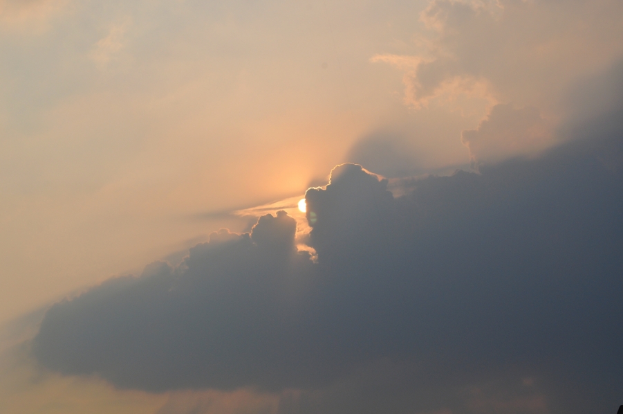 DSC_0255.JPG