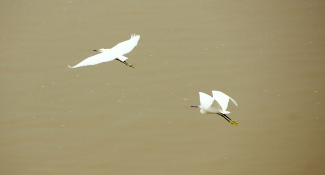 DSC06303.JPG
